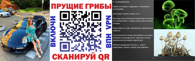 Псилоцибиновые грибы мицелий  Гороховец 